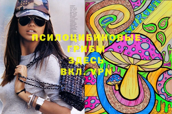 мдпв Волосово