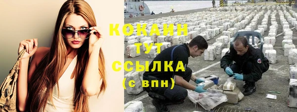 мдпв Верея