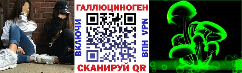 закладки  Калач-на-Дону  Галлюциногенные грибы Psilocybe 